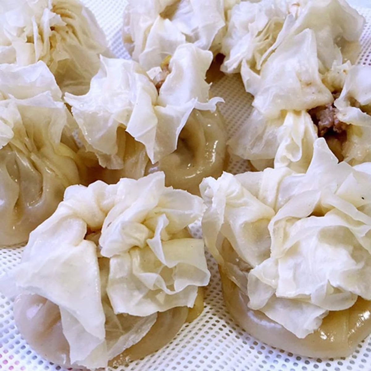 Homoyoyo 10pcs 20cm round Silicone Non-stick Steamer Pads Reusable Steamed Bun and Dumpling Mats for Kitchen Cooking and Dim Sum Steaming