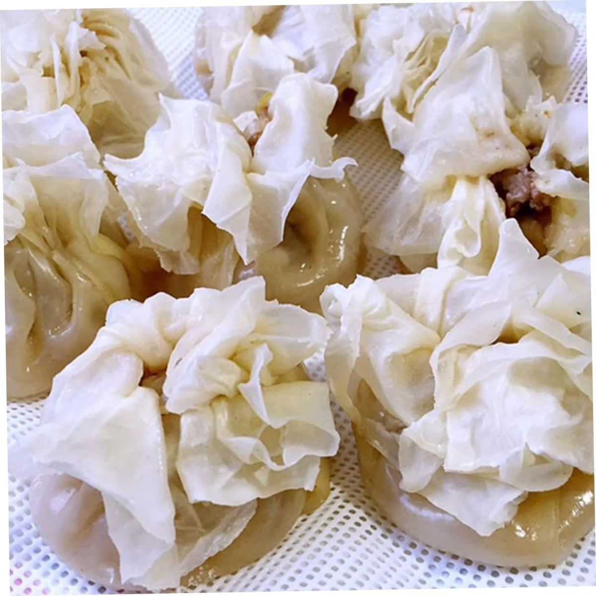 SHOWERORO 20pcs Reusable Silicone Steamer Pads Non- Round Shape Dumpling Mat Diameter Non-stick Steamed Buns Baking Mesh for Dim Sum and Food Processing